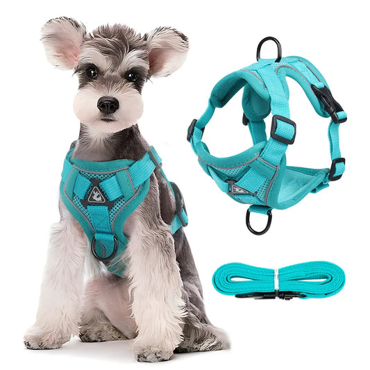 Adjustable Dog Harness and Leash Set