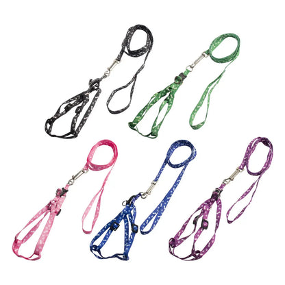 Pet Leash & Harness for Small Dogs, Cats, Puppies, and Rabbits