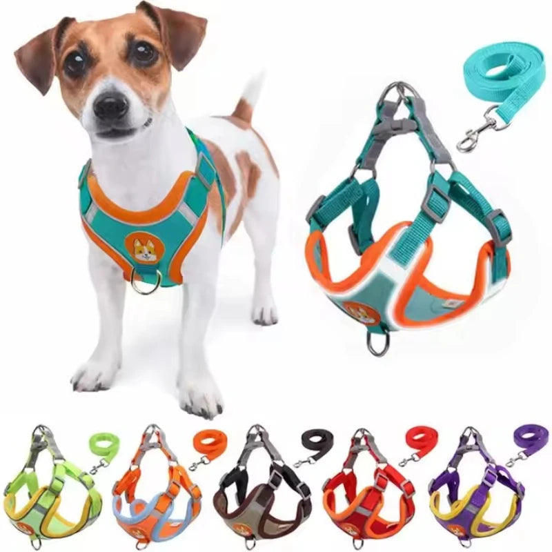 Adjustable Dog Harness & Leash Set