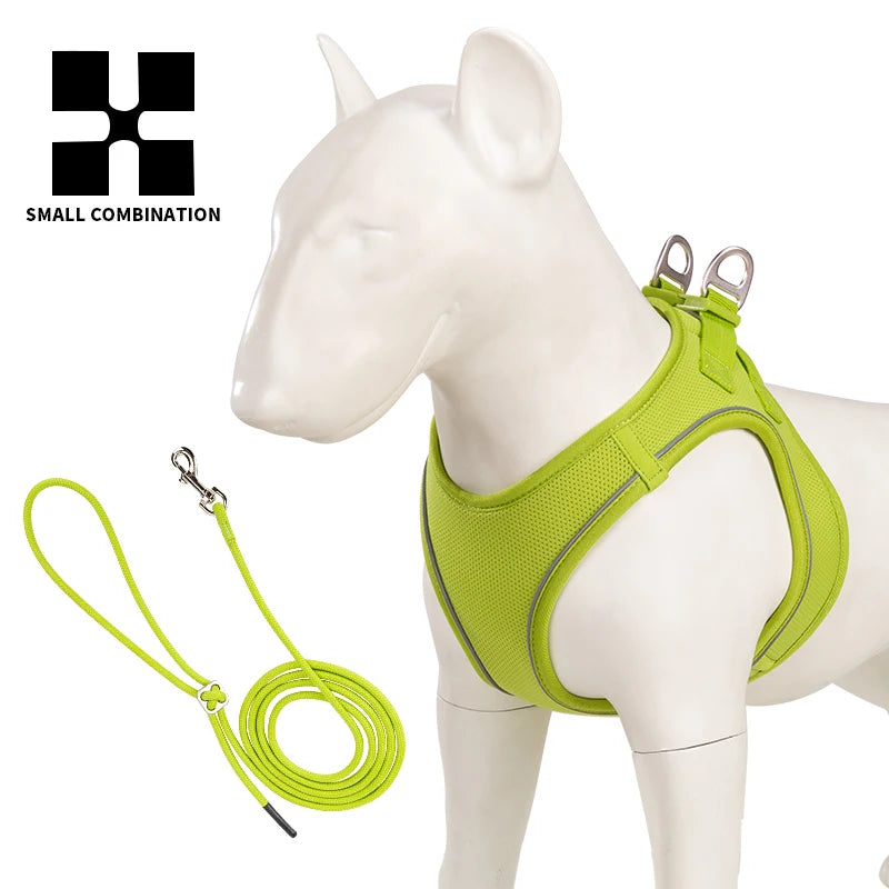 Dog Harness and Leash Set for Small & Medium Dogs