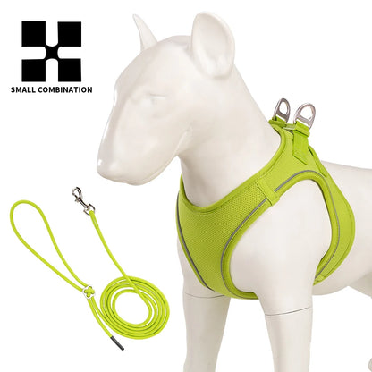 Dog Harness and Leash Set for Small & Medium Dogs