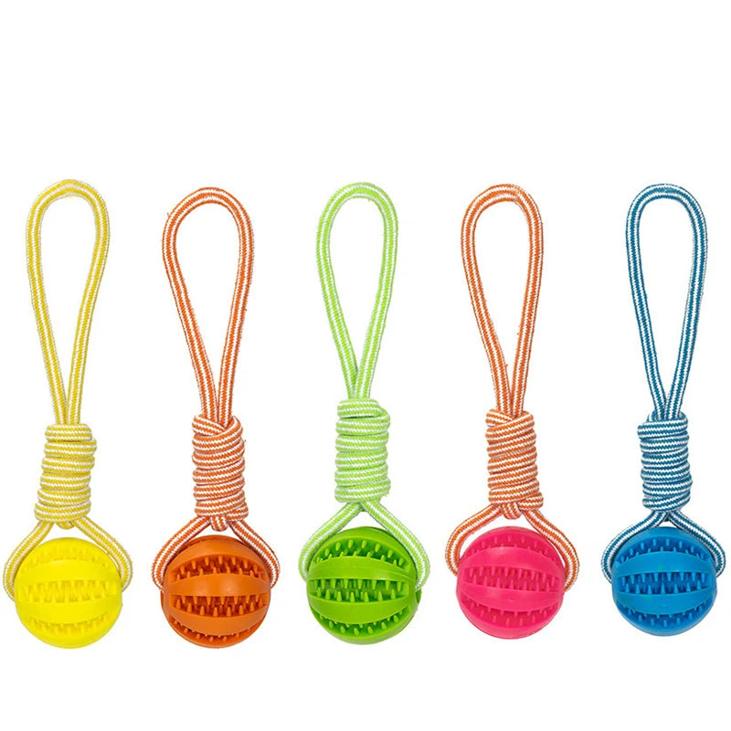 Interactive Pet Treat Balls with Rope for Dogs