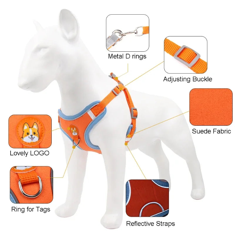 Adjustable Dog Harness & Leash Set