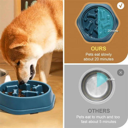 Dog Slow Feeder Bowl | Anti-Choking Feeding Solution