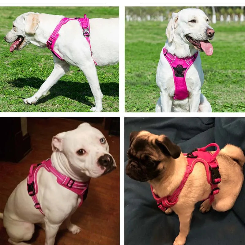 Adjustable Reflective Dog Harness - Breathable Vest