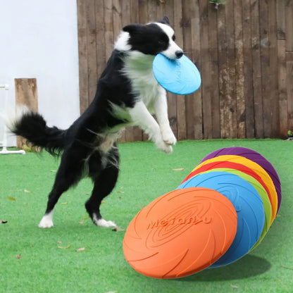 Bite-Resistant Flying Disc for Dogs – Outdoor Training Toy