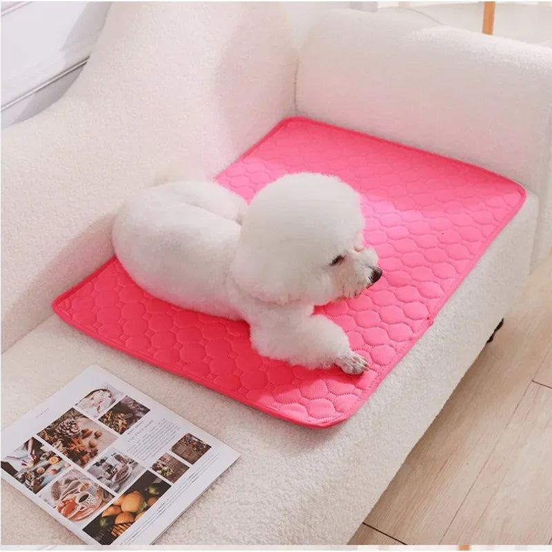 Reusable Absorbent Dog Pee Pad & Washable Training Mat