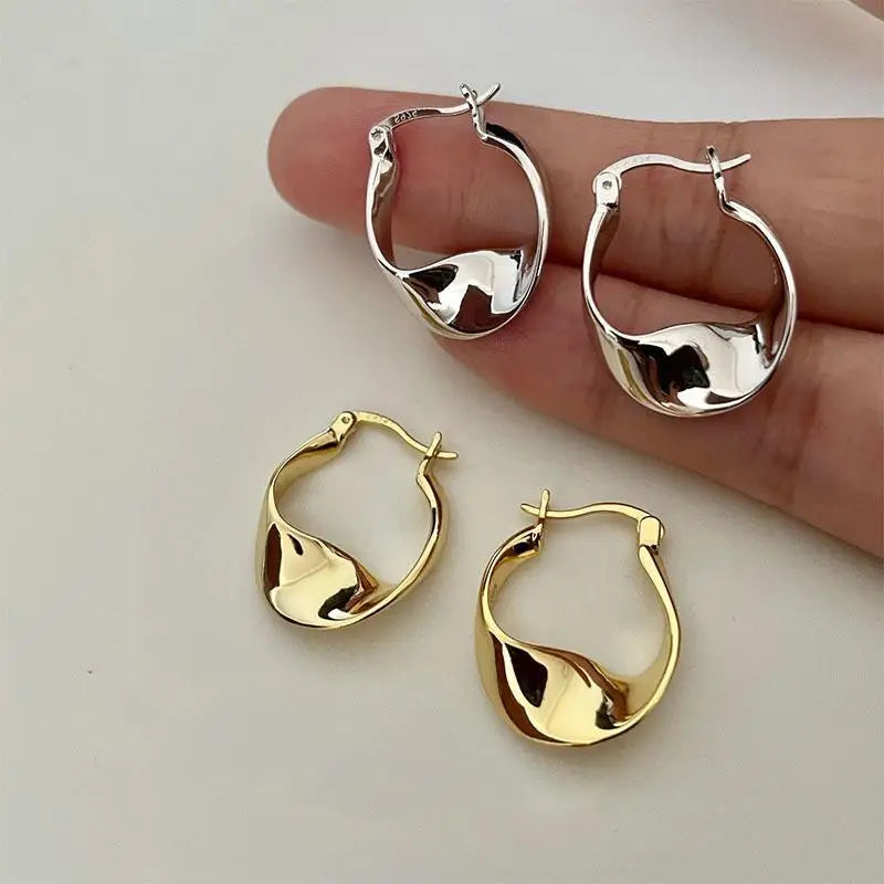 925 Sterling Silver Irregular Shape Earrings