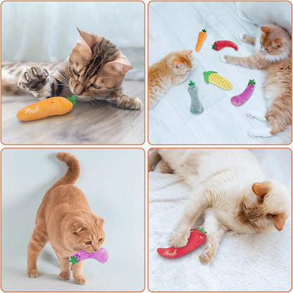 Catnip Plush Toy for Kittens