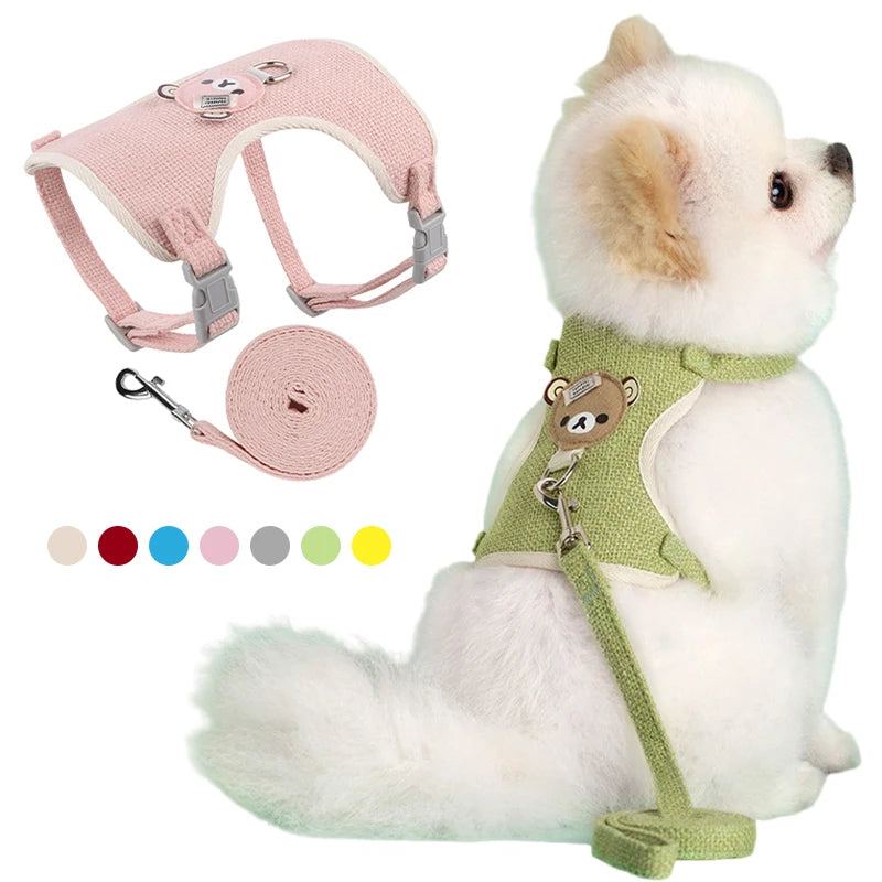 Cute Pet Harness and Leash Set