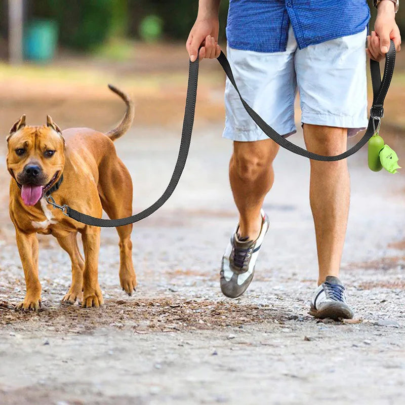 Reflective Dog Harness & Leash Set