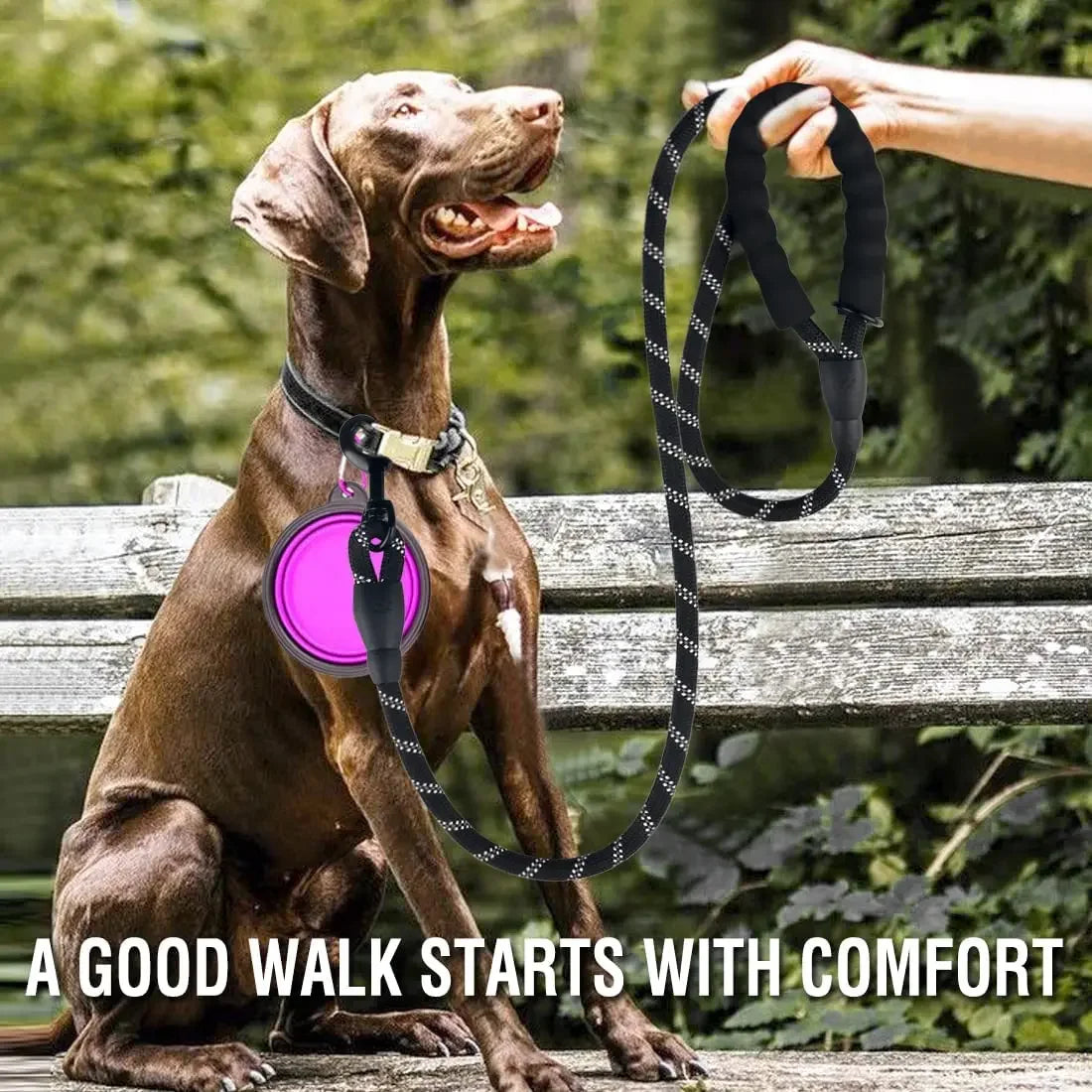 Strong Reflective Dog Leash