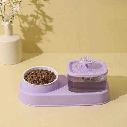 2-in-1 Cat Water Dispenser and Feeding Bowl