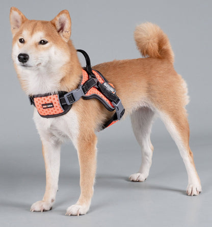 Dog Helios 'Scorpion' High-Performance Free-Range Harness