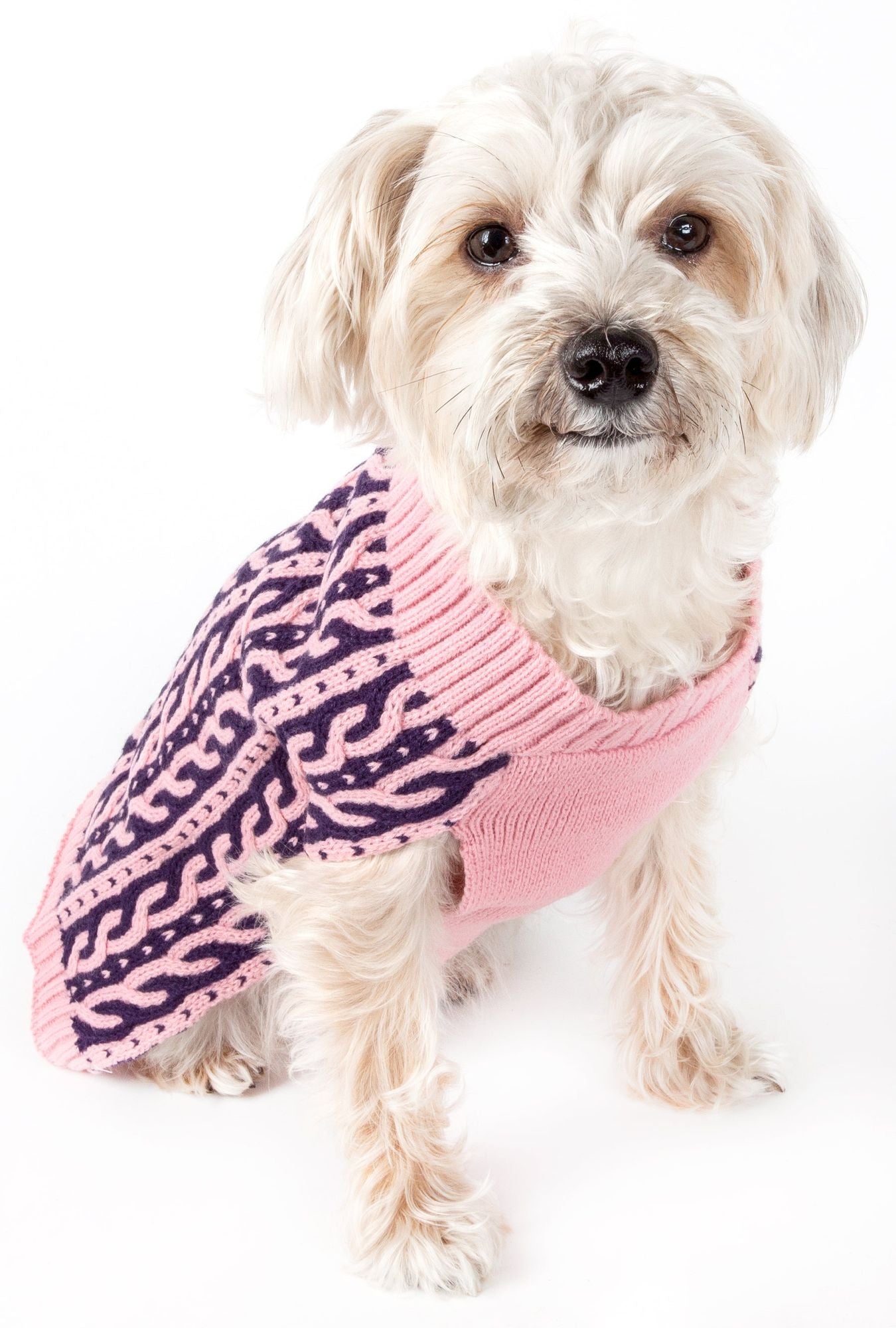 Harmonious Dual Color Weaved Heavy Cable Knitted Fashion Designer Dog Sweater