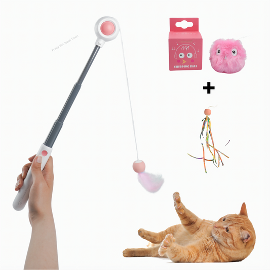 Cat Toy Set – Retractable Laser Stick & Intelligent Bird Call Interactive Ball