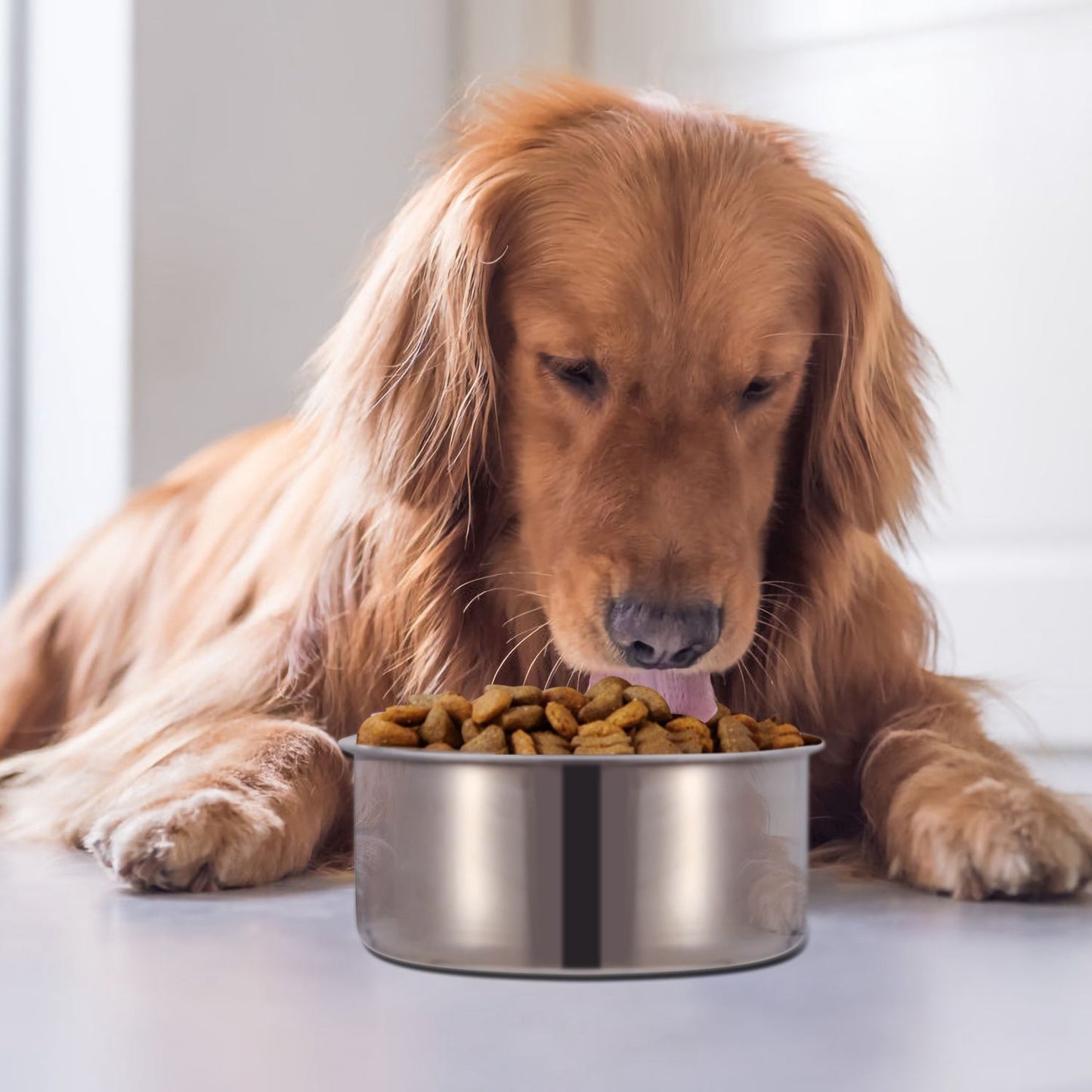 Stainless Steel Dog Bowl with Clamp Holder for Pet Cage