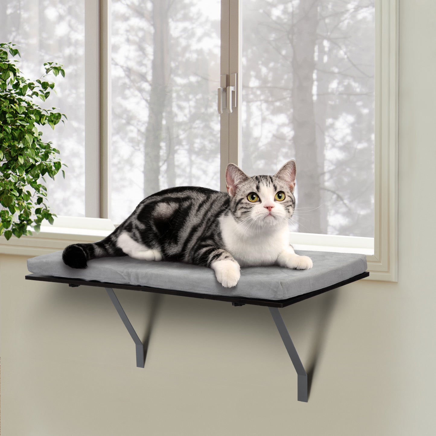 Cat Perch Window-Mounted Shelf Bed with Velvet Cushion