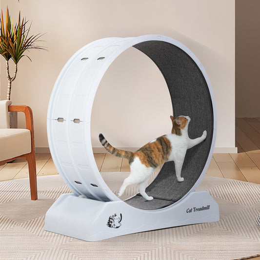 Cat Running Wheel – Small Animal Exercise Treadmill