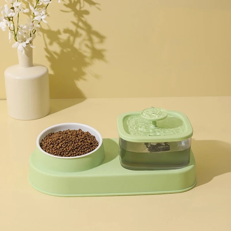 2-in-1 Cat Water Dispenser and Feeding Bowl