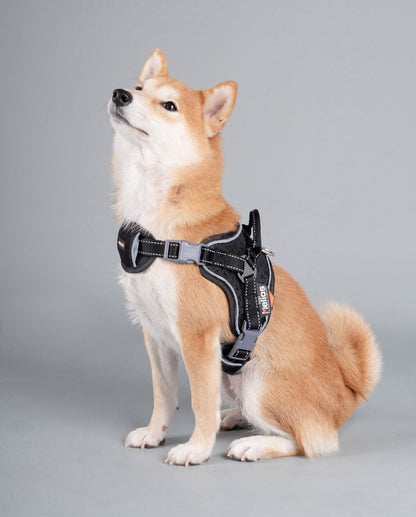 Dog Helios 'Scorpion' High-Performance Free-Range Harness