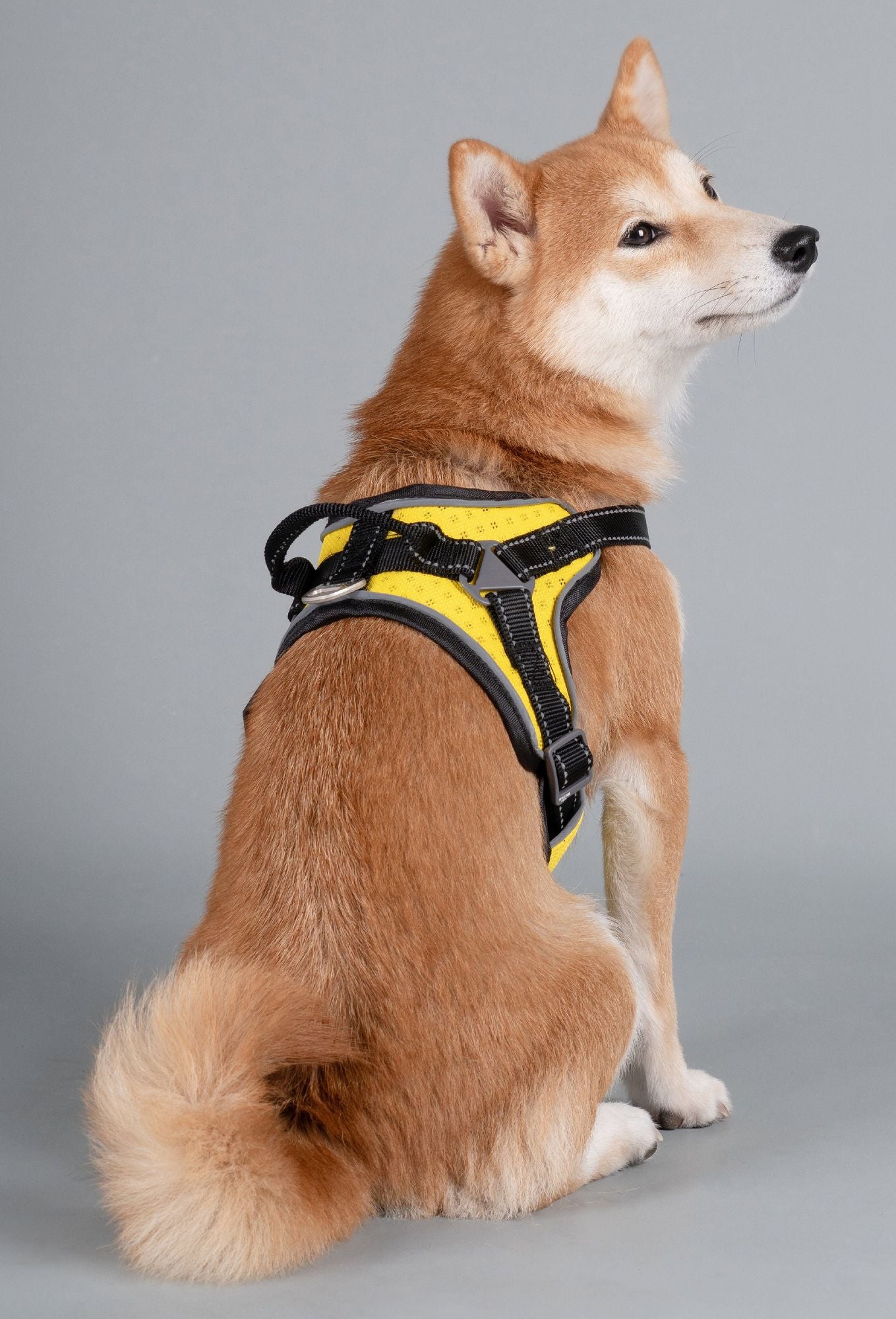 Dog Helios 'Scorpion' High-Performance Free-Range Harness