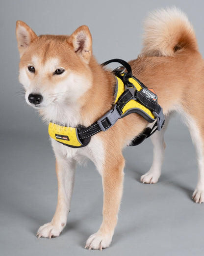 Dog Helios 'Scorpion' High-Performance Free-Range Harness