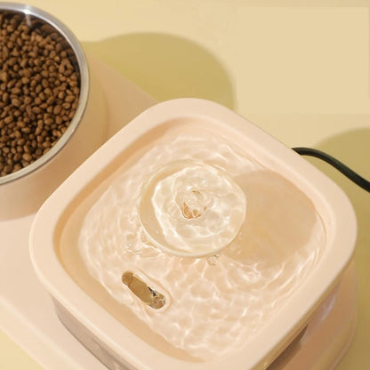 2-in-1 Cat Water Dispenser and Feeding Bowl